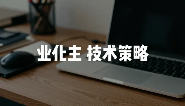 系统集成维护中技术外包常见问题与应对策略